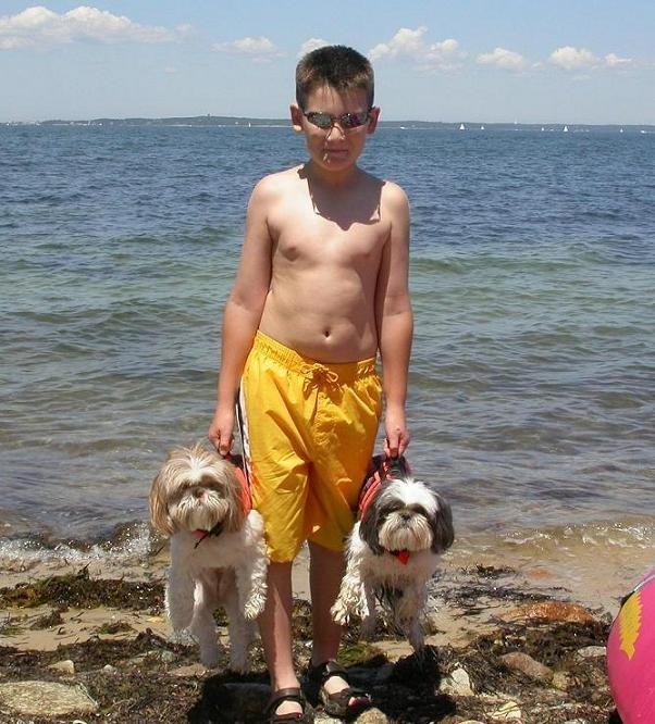 Briefcase puppies