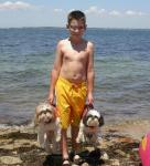Briefcase puppies